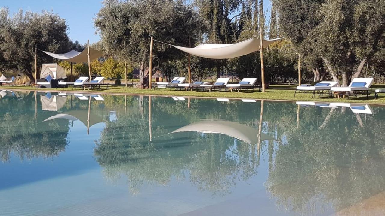 Les Jardins De Zyriab Panzió Aït Hamid Kültér fotó